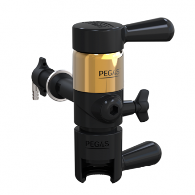 PEGAS Evolution Gold в Омске